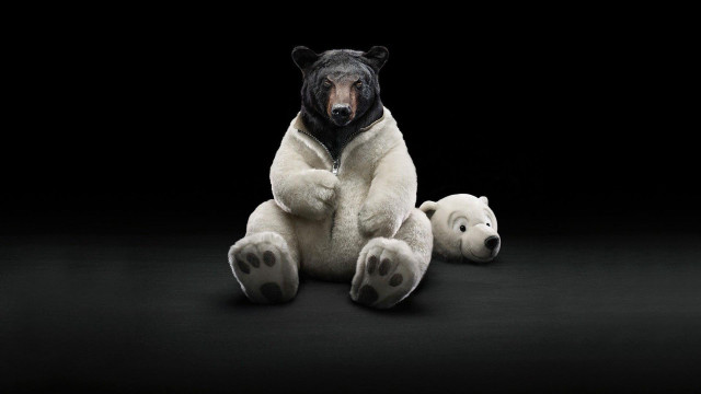 Stuffed bear bears head arms free wallpaper - medium preview image