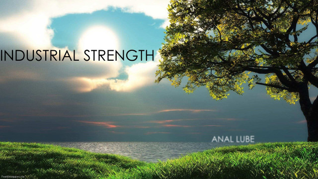 Tree sunset sky love strength free wallpaper - medium preview image