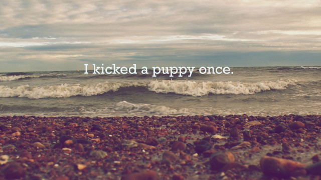 Beach quote kicked puppy once free wallpaper - medium preview image