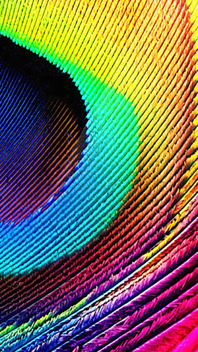 Multicolored peacock feather holography macro free wallpaper - medium preview image