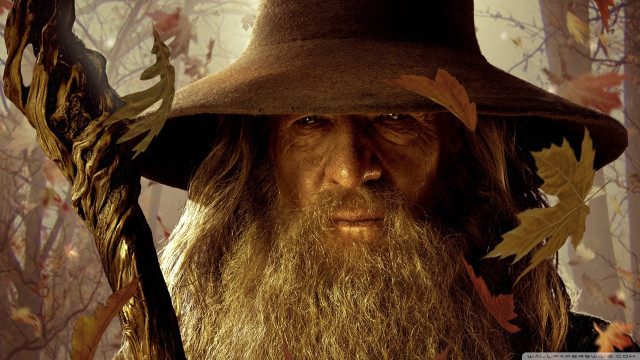 Man long beard leaf hat free wallpaper - medium preview image