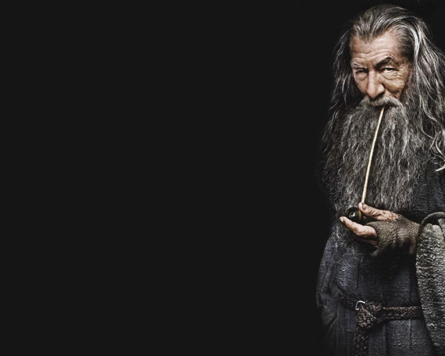 Man long beard holding stick free wallpaper - medium preview image