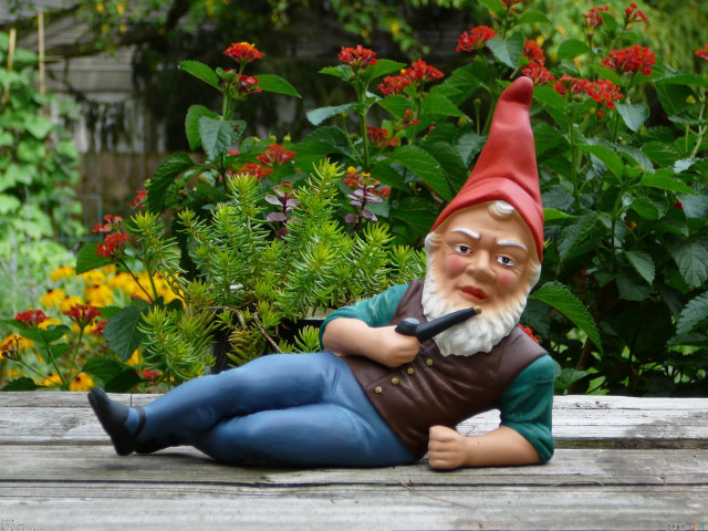 Gnome figurine wooden bench garden free wallpaper - medium preview image