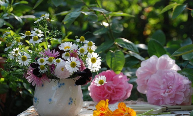Vase of flowers garden table free wallpaper - medium preview image
