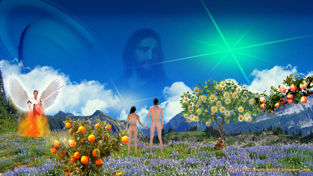 Man fruit trees angels blue free wallpaper - medium preview image