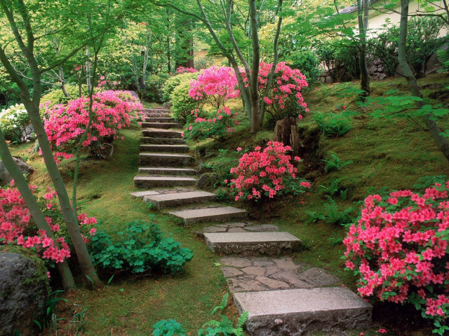 Stone path steps pink flower free wallpaper - medium preview image