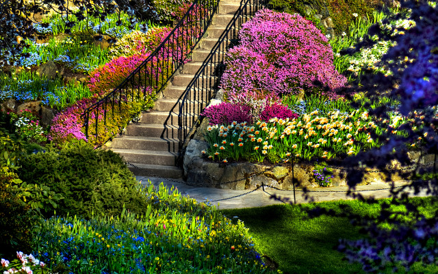 Garden staircase flowers surrounding ground free wallpaper - medium preview image