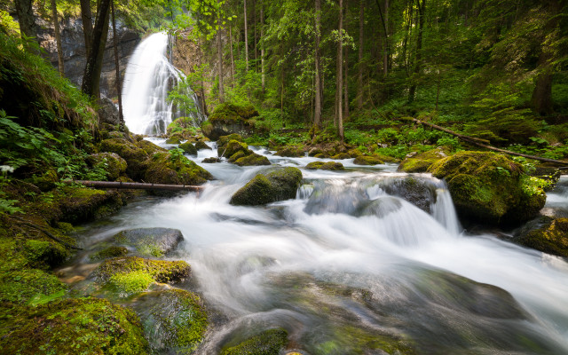 Waterfall forest mossy rocks trees free wallpaper - medium preview image