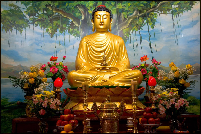 Golden buddha statue tree flowers free wallpaper - medium preview image