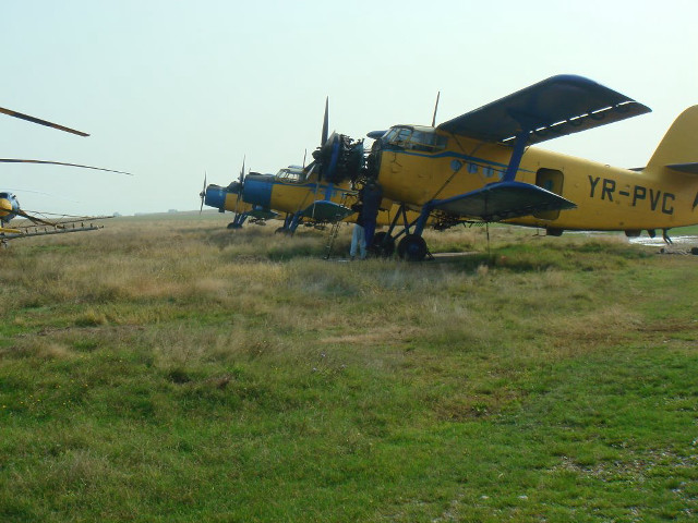 Yellow blue planes parked field free wallpaper - medium preview image
