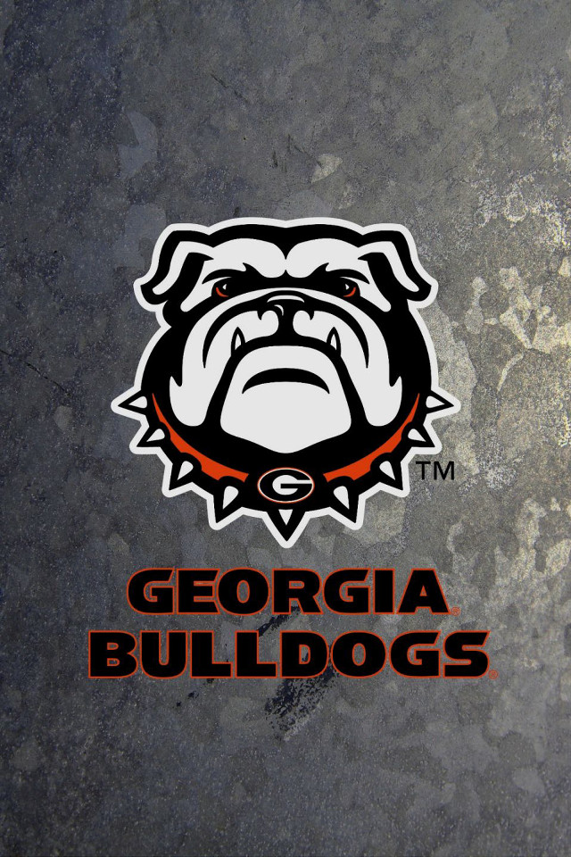 Dog face stone surface georgia free wallpaper - medium preview image