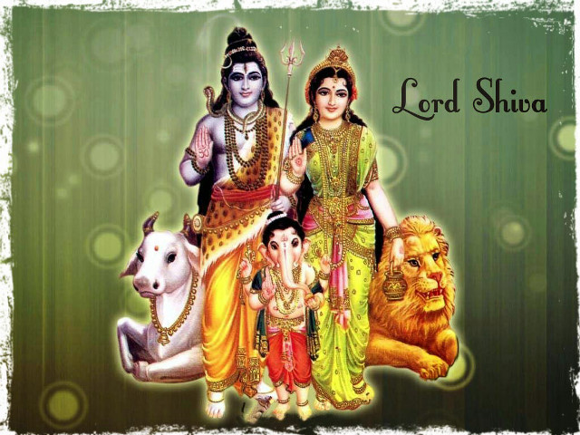 Lord shua family pets green free wallpaper - medium preview image