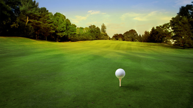 Golf ball tee green course free wallpaper - medium preview image