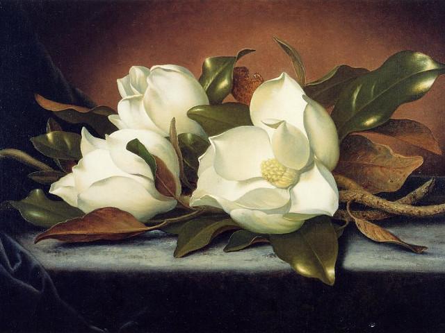 White flowers table leaves pine free wallpaper - medium preview image