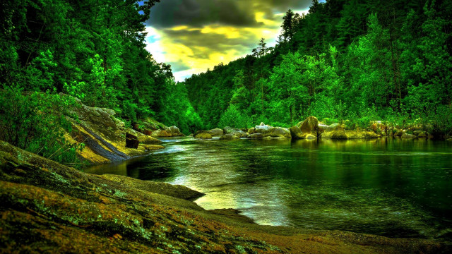 River lush trees rocks cloudy free wallpaper - medium preview image