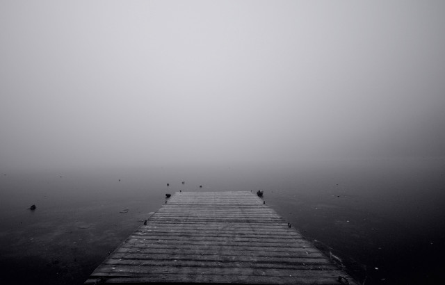 Foggy lake dock birds person free wallpaper - medium preview image