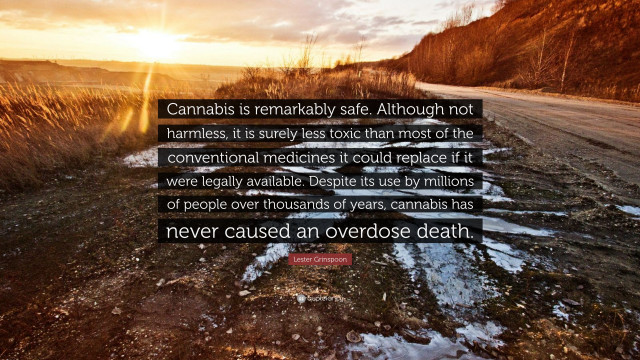 Cannabis remarkably safe not harmless free wallpaper - medium preview image