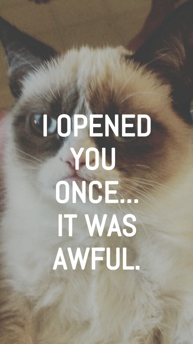 Cynical cat screenshot allen tupper free wallpaper - medium preview image