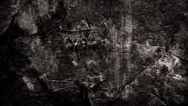 Rock wall tree bird flying free wallpaper - medium preview image