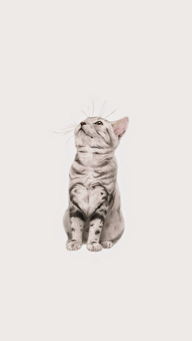 Cat skyward closed tail sketch free wallpaper - medium preview image