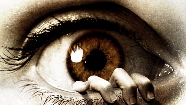 Eye brown iris blackwhite background free wallpaper - medium preview image