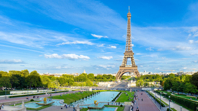 Eiffel tower view from top free wallpaper - medium preview image