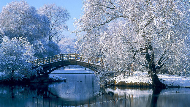 Bridge river snow covered trees free wallpaper - medium preview image