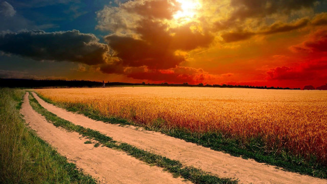Dirt road field sunset clouds #6 free wallpaper - medium preview image