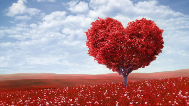 Heart shaped tree field flowers #6 free wallpaper - medium preview image