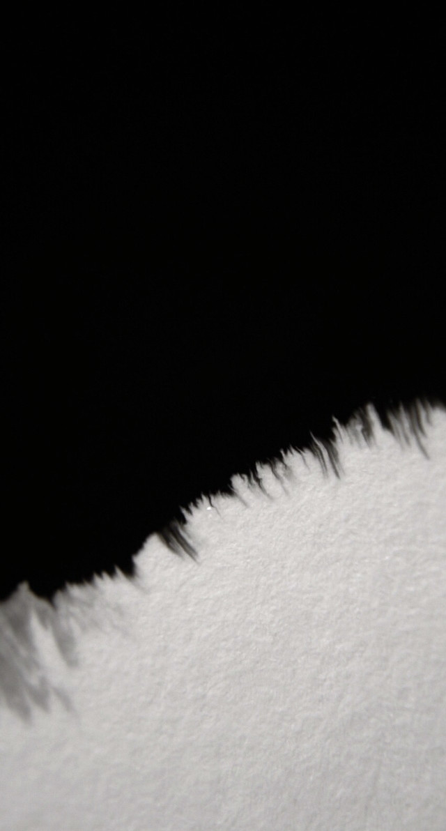 Snowboarder black white shadow snow free wallpaper - medium preview image