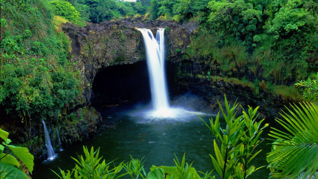 Waterfall tropical view trees bushes free wallpaper - medium preview image