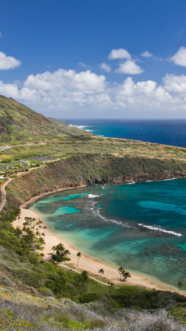 Beach ocean hilltop scenic view free wallpaper - medium preview image