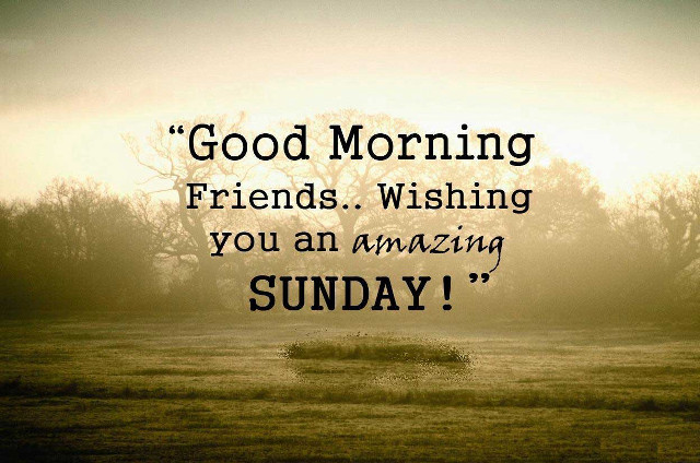 Good morning friends amazing sunday free wallpaper - medium preview image