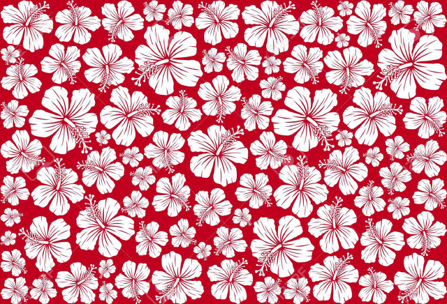Red white flower pattern white free wallpaper - medium preview image