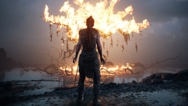Man fire forest branches hanging free wallpaper - medium preview image