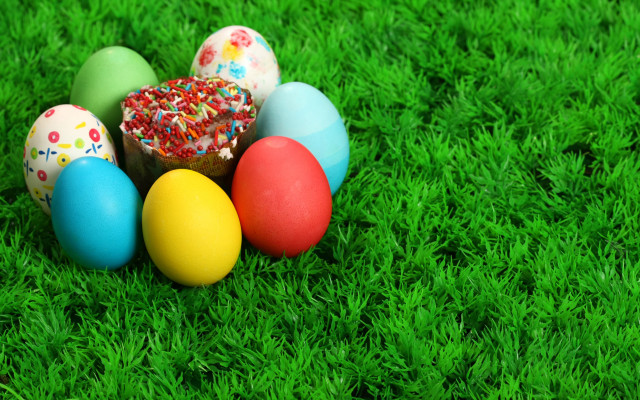 Eggs green field grass sprinkles free wallpaper - medium preview image