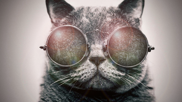 Cat glasses patterned eyes head free wallpaper - medium preview image