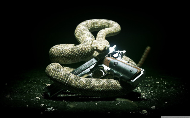 Gun snake dark lighter hand free wallpaper - medium preview image
