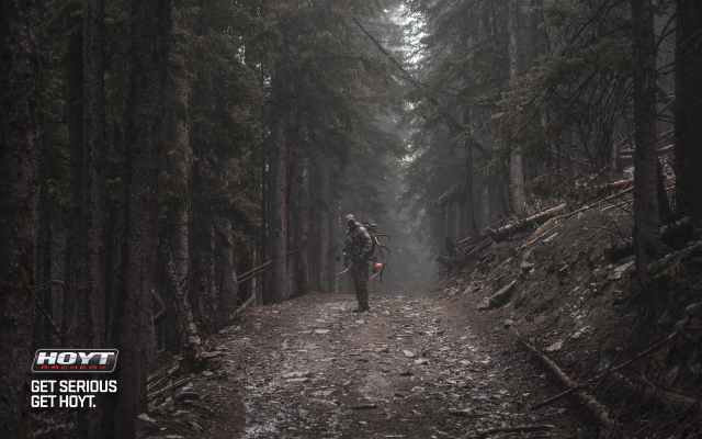 Man walking trail woods foggy free wallpaper - medium preview image
