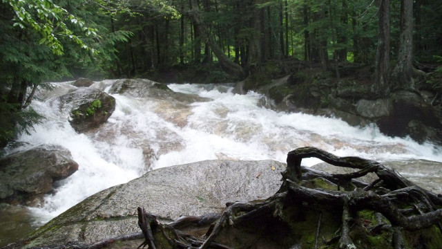 Hudson river forest rocks trunk free wallpaper - medium preview image