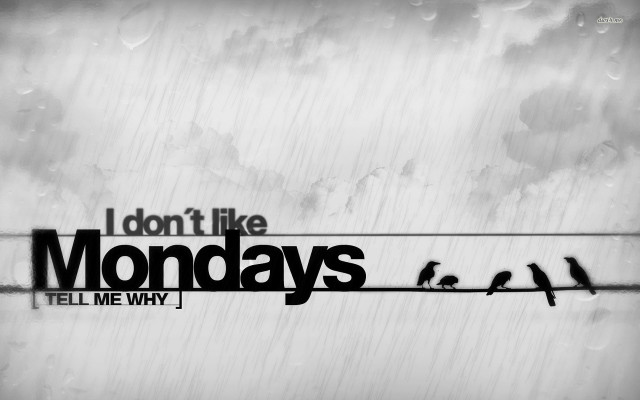 Birds wire black white mondays free wallpaper - medium preview image