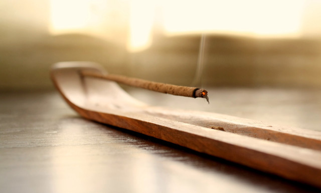 Wooden object insect tip tabletop free wallpaper - medium preview image