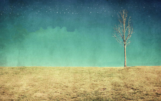 Lone tree field sky stars free wallpaper - medium preview image