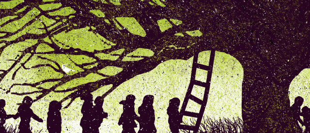 Group people tree ladder standing free wallpaper - medium preview image