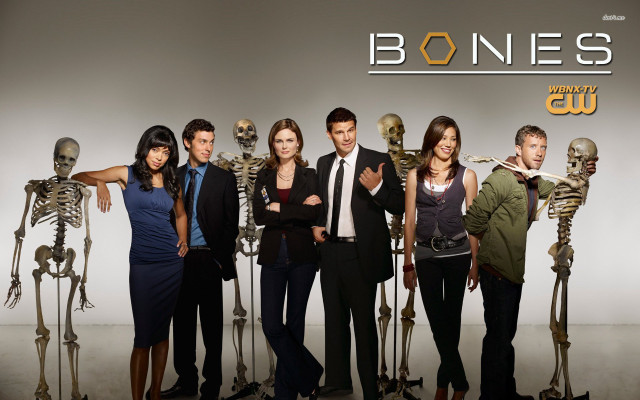 Group skeleton wallpaper bones man free wallpaper for desktop - medium preview image