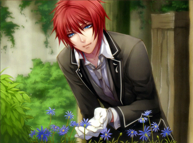 Man suit gloves garden blue free wallpaper for desktop - medium preview image