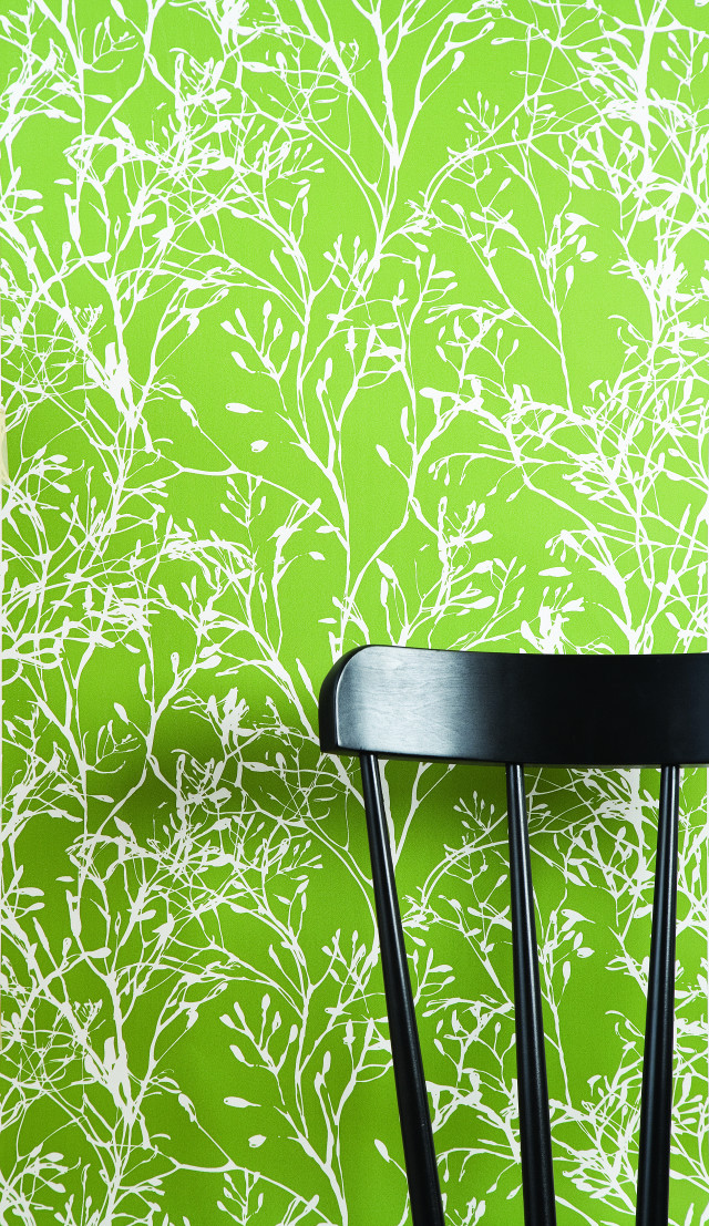 Black table green wall black free wallpaper - medium preview image