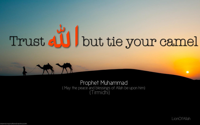 Sunset trust desert camel man free wallpaper - medium preview image