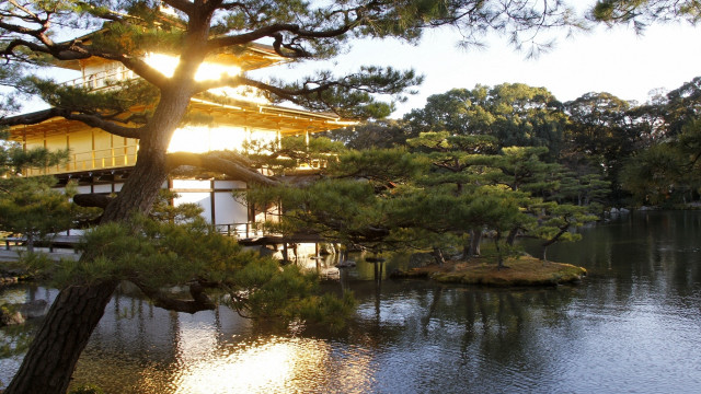 Building lake forest trees rocks free wallpaper - medium preview image