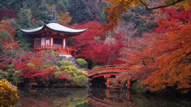 Small bridge red leaves pagoda free wallpaper - medium preview image